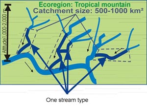 figure stream typology