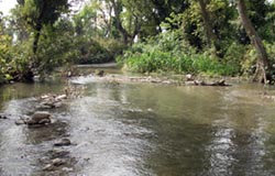 picture of reference river im0166